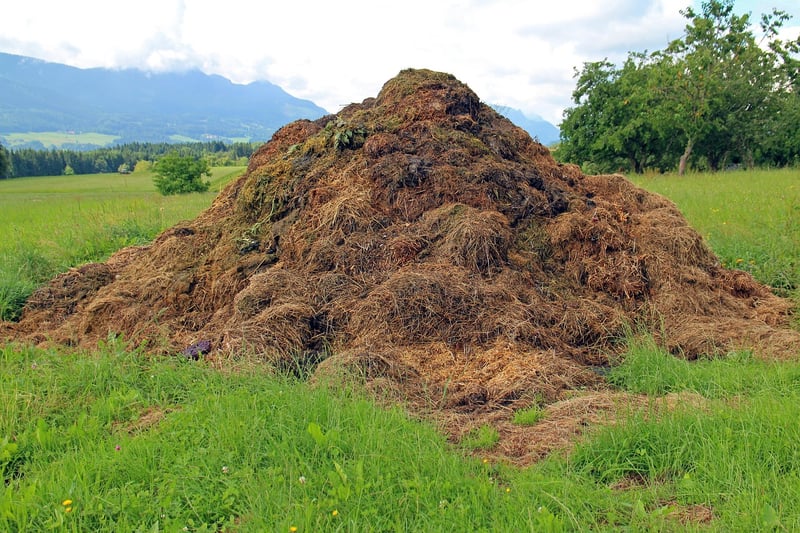 Compost Bin