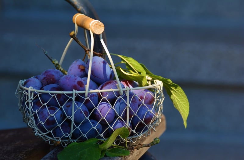 Hanging Basket Chandelier